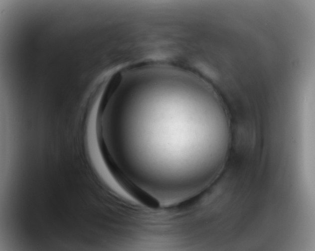 X0000088901214200706151842