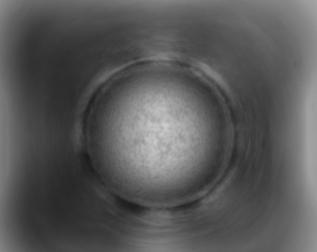 X0000088901215200706151842