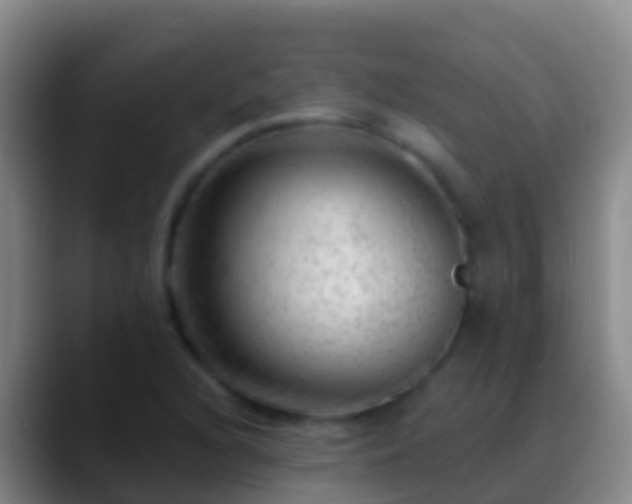 X0000088901216200706151842