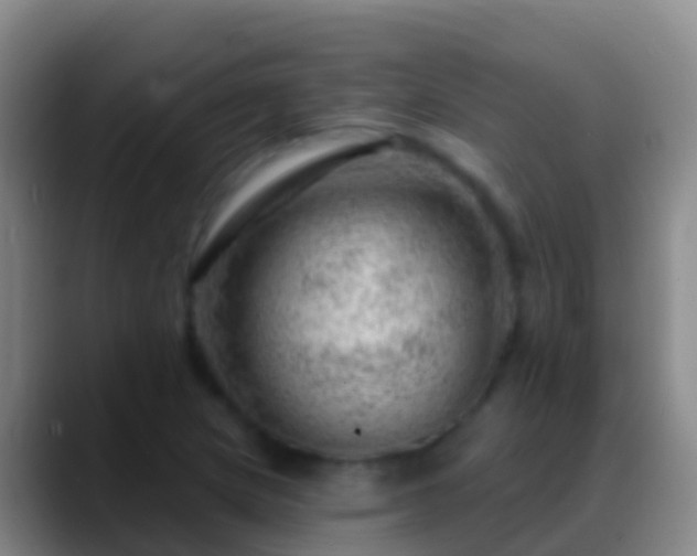 X0000088901217200706151842