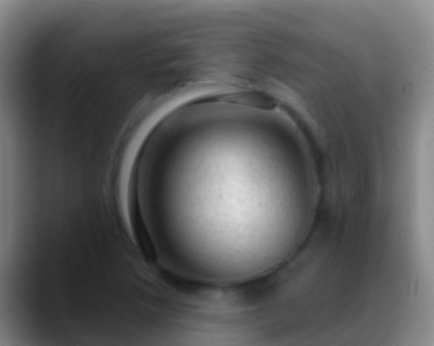 X0000088901218200706151842