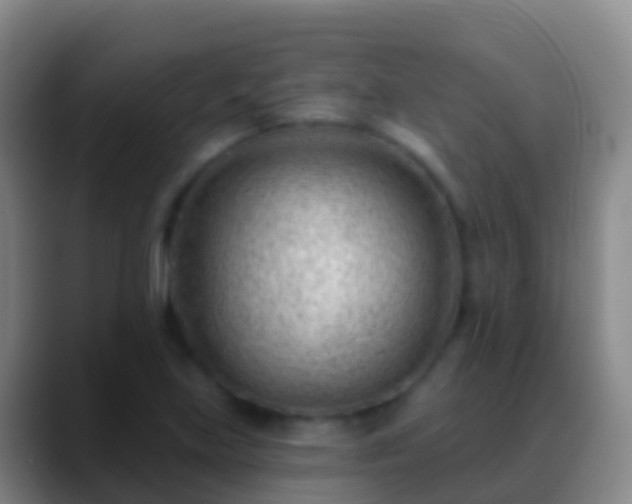 X0000088901219200706151842