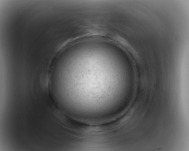 X0000088901220200706151842