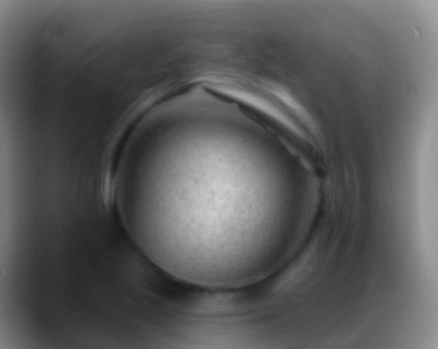 X0000088901221200706151842
