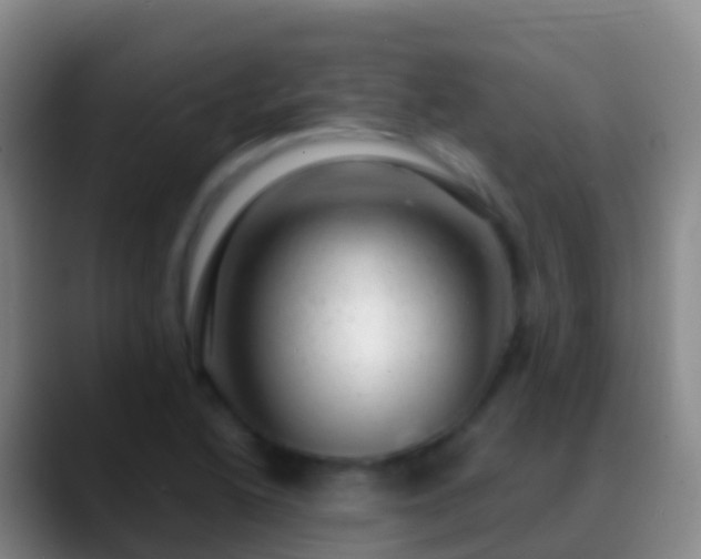 X0000088901222200706151842
