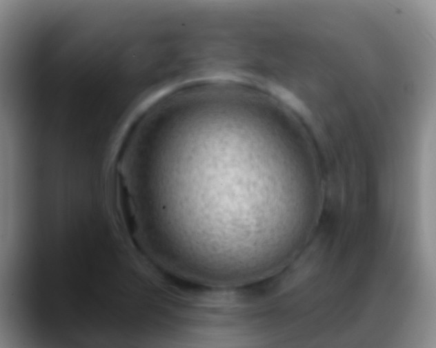 X0000088901223200706151842