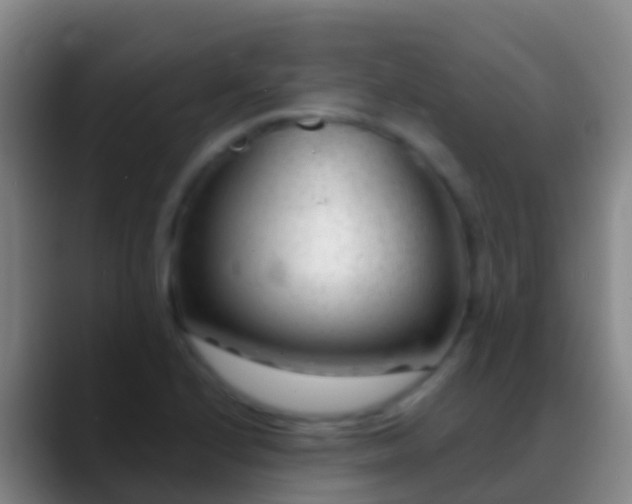 X0000088901224200706151842
