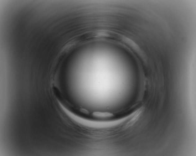X0000088901225200706151842