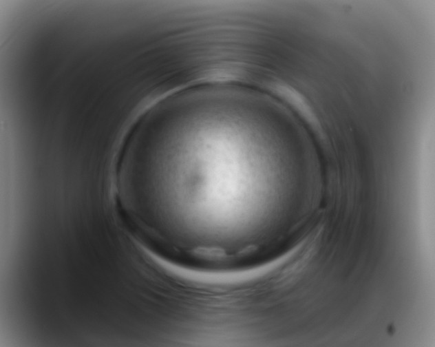 X0000088901226200706151842
