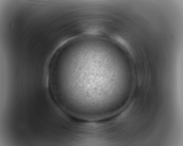X0000088901227200706151842