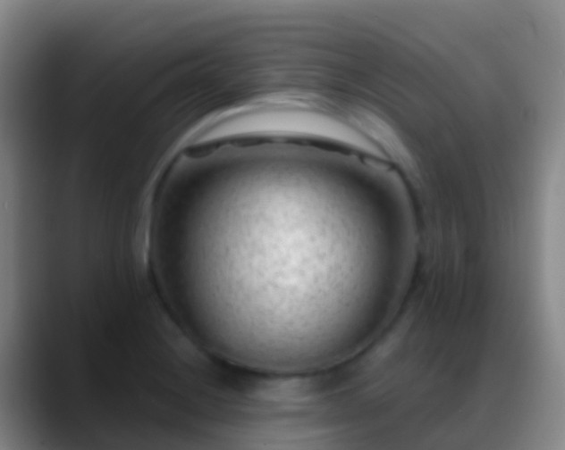 X0000088901228200706151842