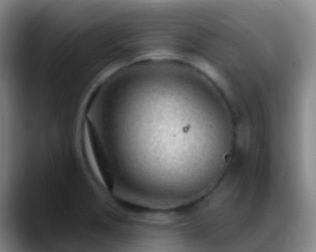 X0000088901229200706151842