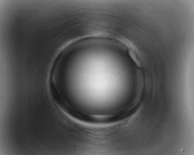 X0000088901230200706151842