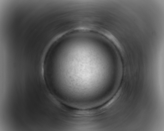 X0000088901232200706151842