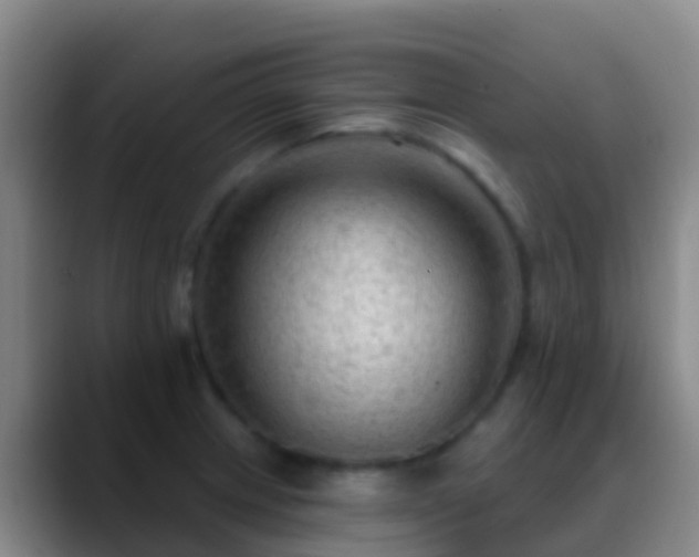 X0000088901233200706151842