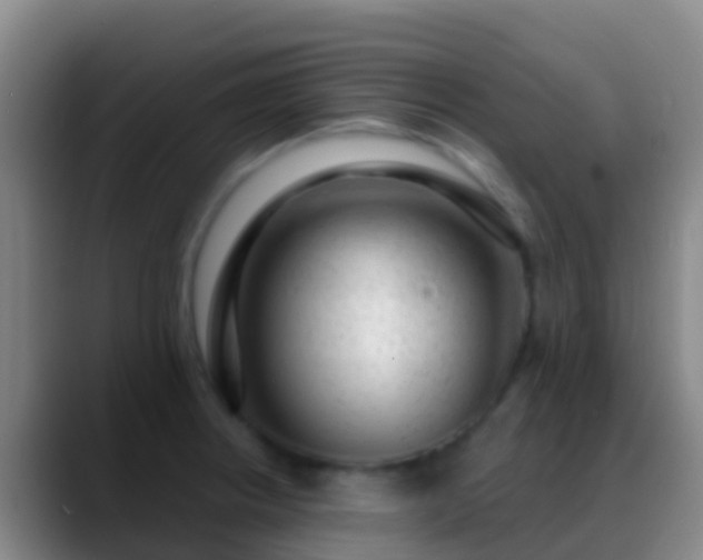 X0000088901234200706151842
