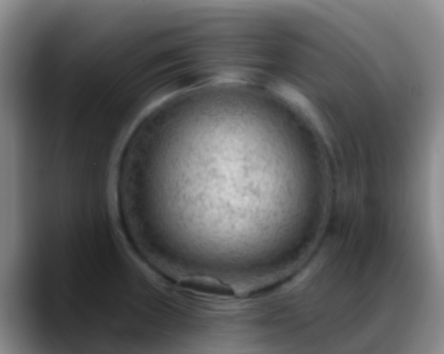 X0000088901235200706151842