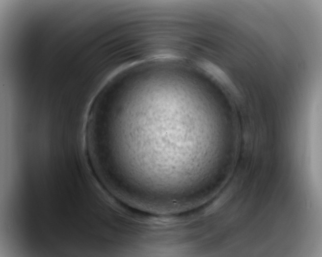 X0000088901236200706151842