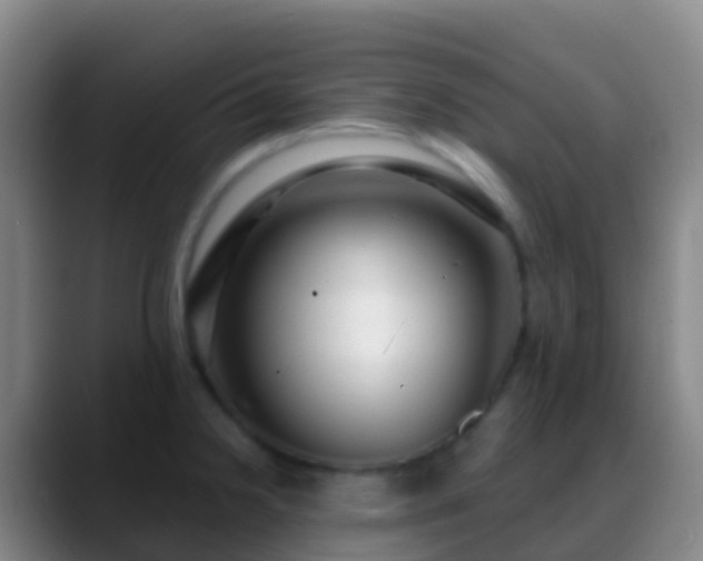 X0000088901238200706151842
