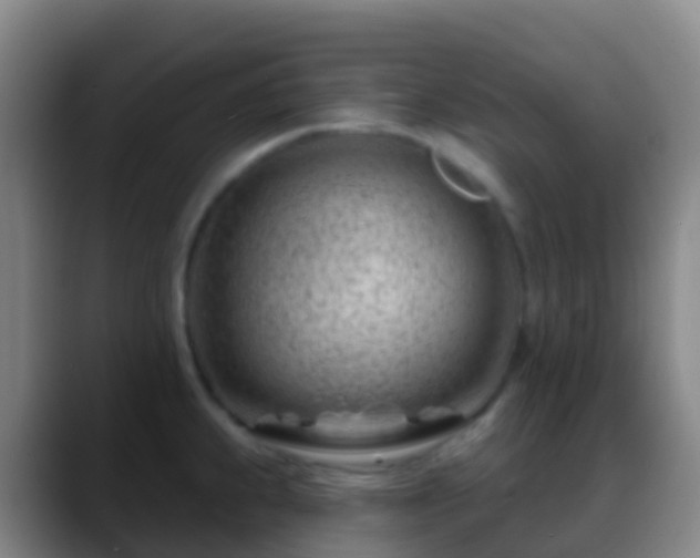 X0000088901239200706151842