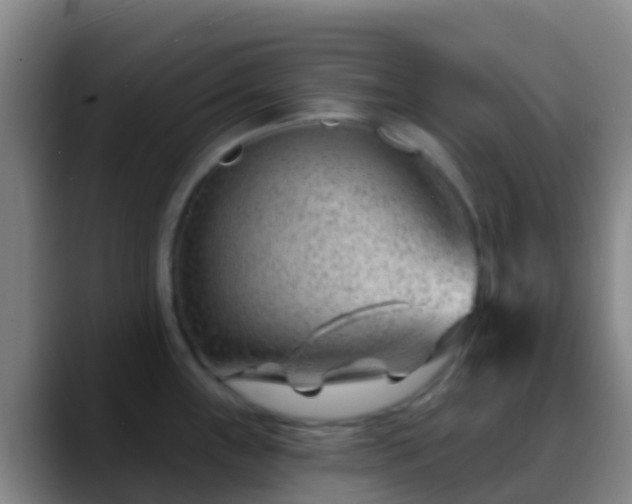 X0000088901243200706151842
