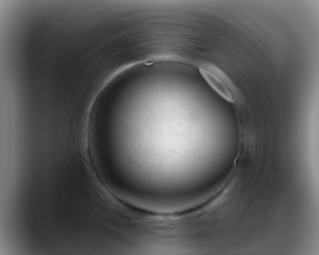 X0000088901244200706151842