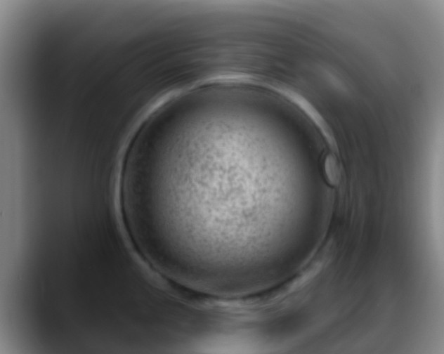 X0000088901245200706151842