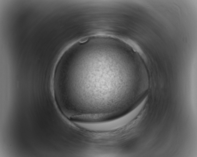 X0000088901247200706151842