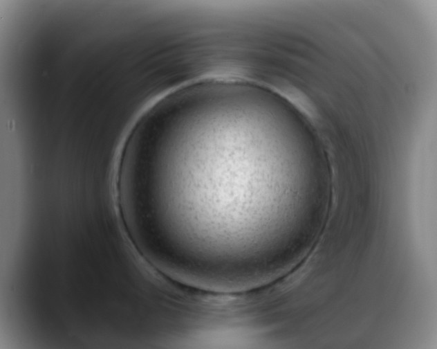 X0000088901248200706151842