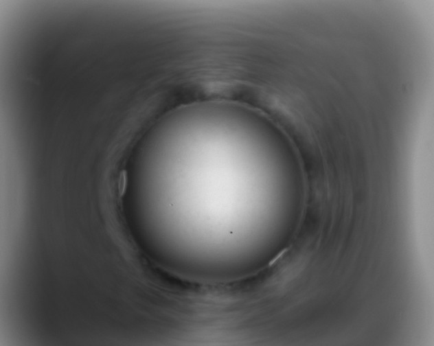 X0000088901249200706151841