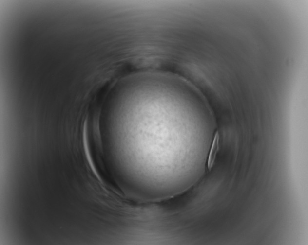 X0000088901250200706151841