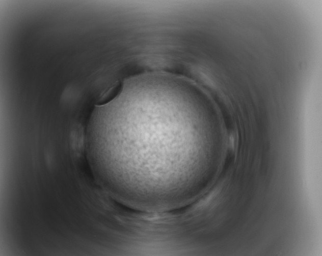 X0000088901251200706151841