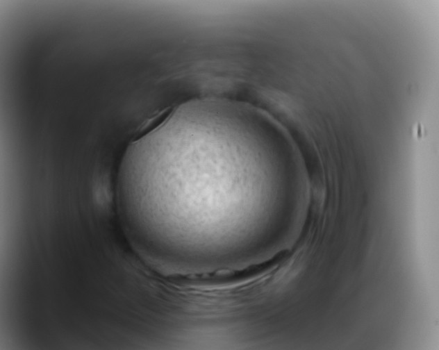 X0000088901252200706151841