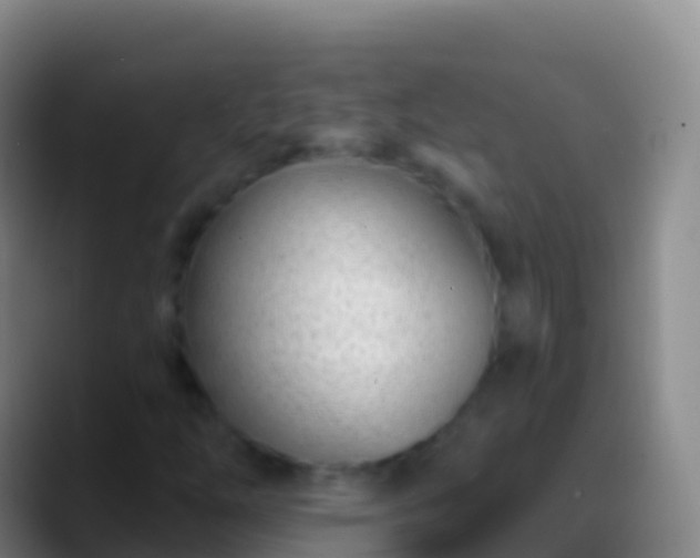 X0000088901254200706151841