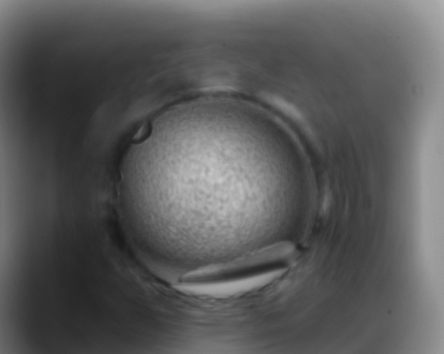 X0000088901255200706151841