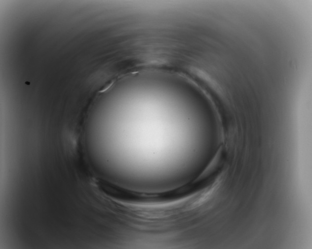 X0000088901257200706151841