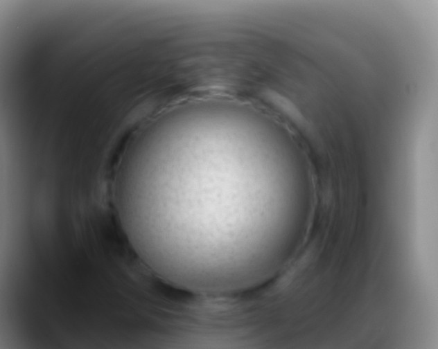 X0000088901258200706151841