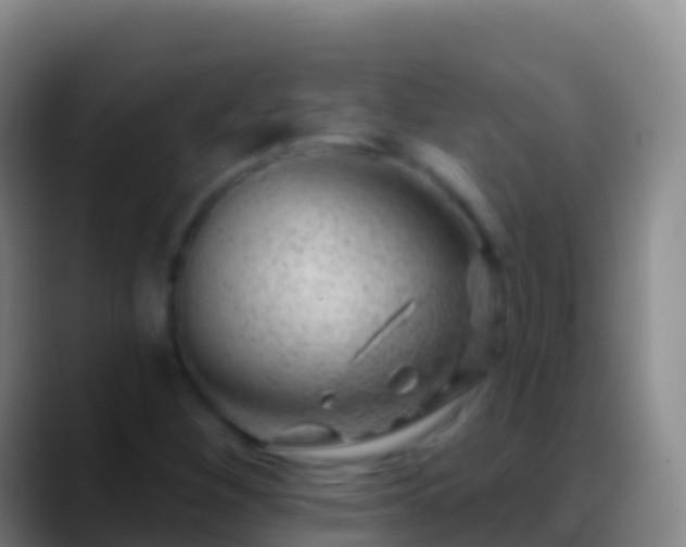 X0000088901260200706151841