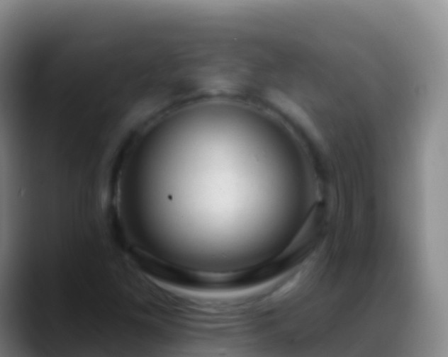 X0000088901261200706151841