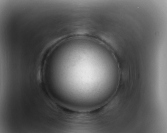 X0000088901262200706151841