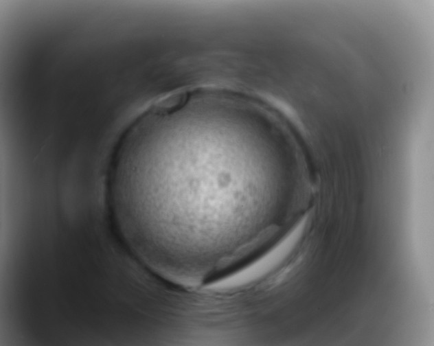 X0000088901263200706151841