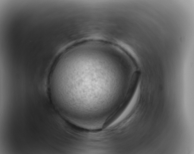 X0000088901264200706151841