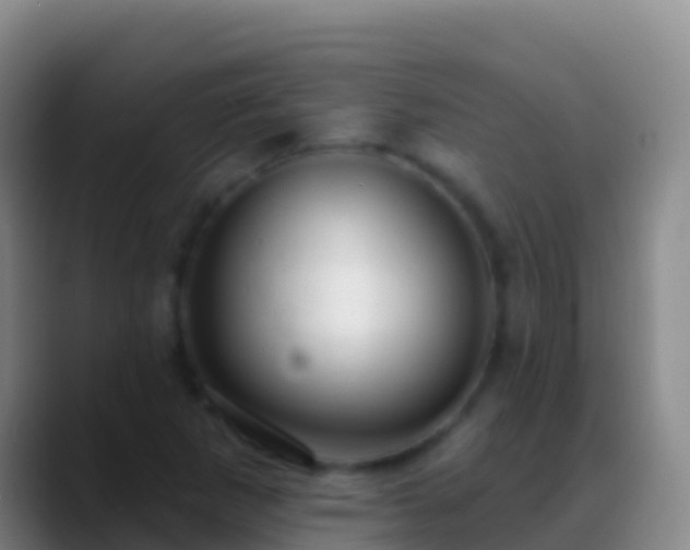X0000088901265200706151841