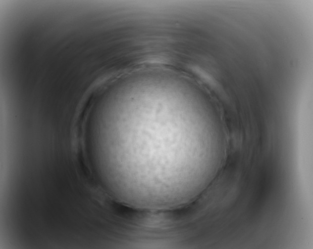 X0000088901266200706151841