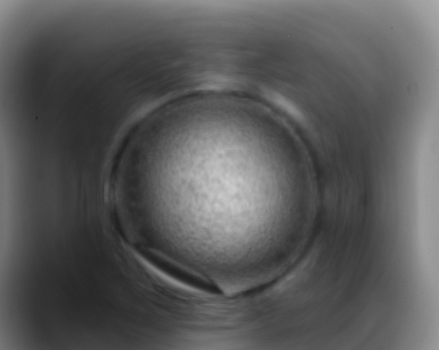X0000088901267200706151841