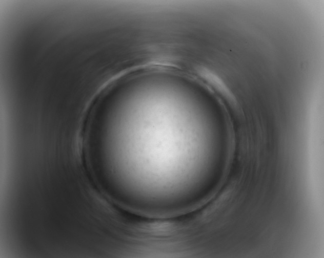 X0000088901268200706151841