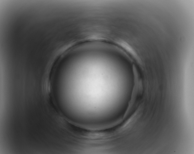 X0000088901269200706151841
