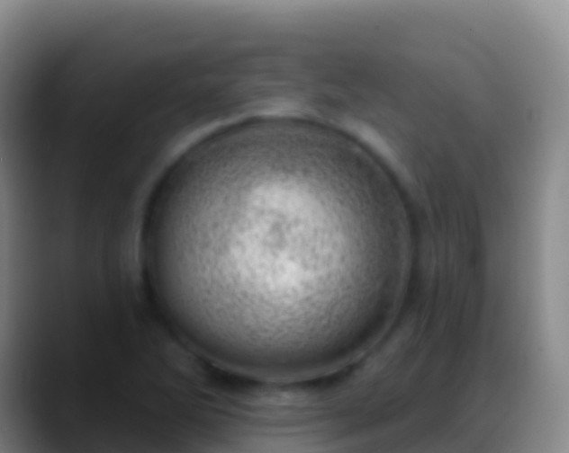 X0000088901270200706151841