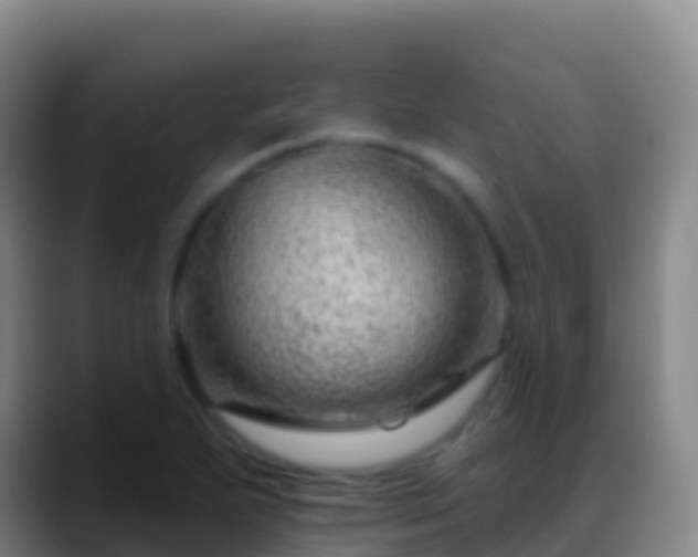 X0000088901271200706151841