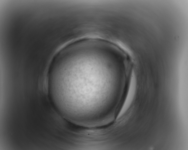 X0000088901272200706151841